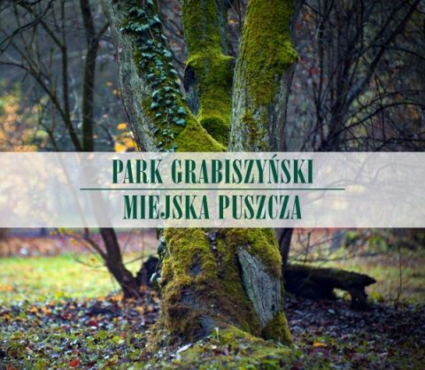 okładka albumu przedstawia konar drzewa porośniętego mchem z tytułem Park Grabiszyński. Miejska Puszcza