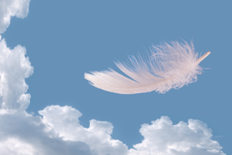 zdjęcie przedstawia gęsie pióro unoszące się bezwiednie na wietrze a w tle widoczne jest niebieskie niebo z białymi chmurami