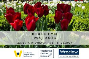 Biuletyn na maj 2024 r. zajęcia w dniach 1.05-31.05.2024. Na zdjęciu: czerwone i białe tulipany.